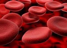 कर्णालीका दुर्गम जिल्लामा दाताबाटै चल्छ रक्तदान